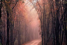 散户配资官网首页:股票配资软件-什么信号？基金大手笔买入这些金融股